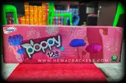 120 Shot Multi Colour