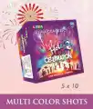 5x10 Holi Celebrations